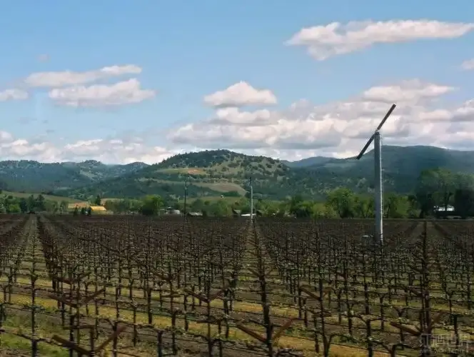 Automated agricultural weather station installed in a high-value vineyard triggering frost protection wind machines during a freezing dawn.